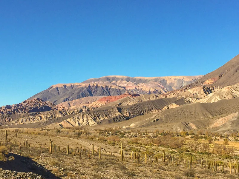landscape_salta_region_argentina_5.jpg