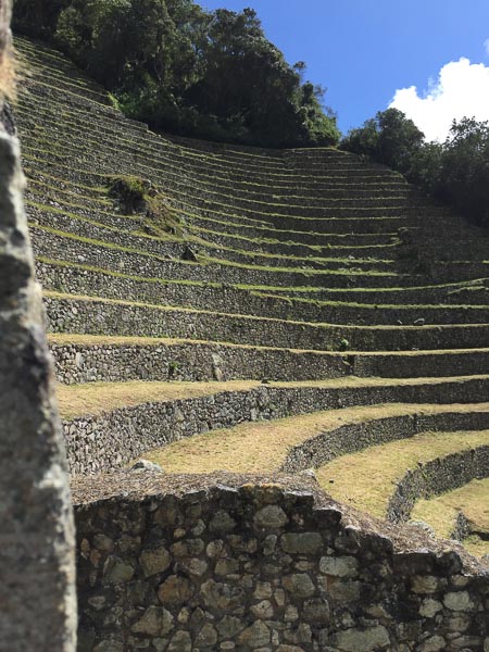 winay_wayna_terraces_inca_ruins.jpg