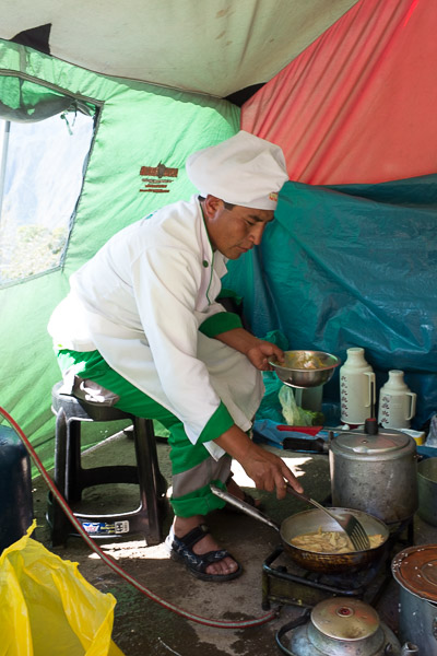 alpaca_tours_camp_chief_peru.jpg