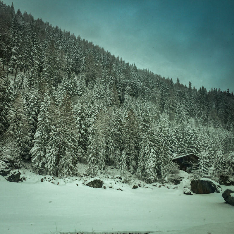 snow_covered_forest_france.jpg