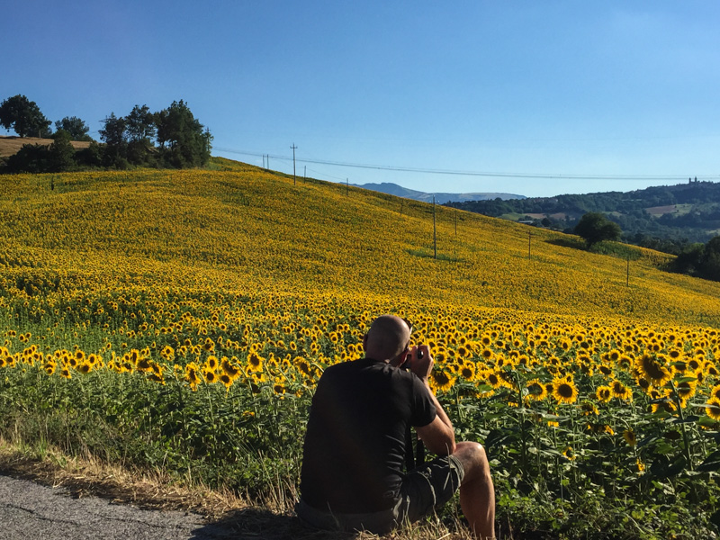 photographing_sunflowers_italy.jpg