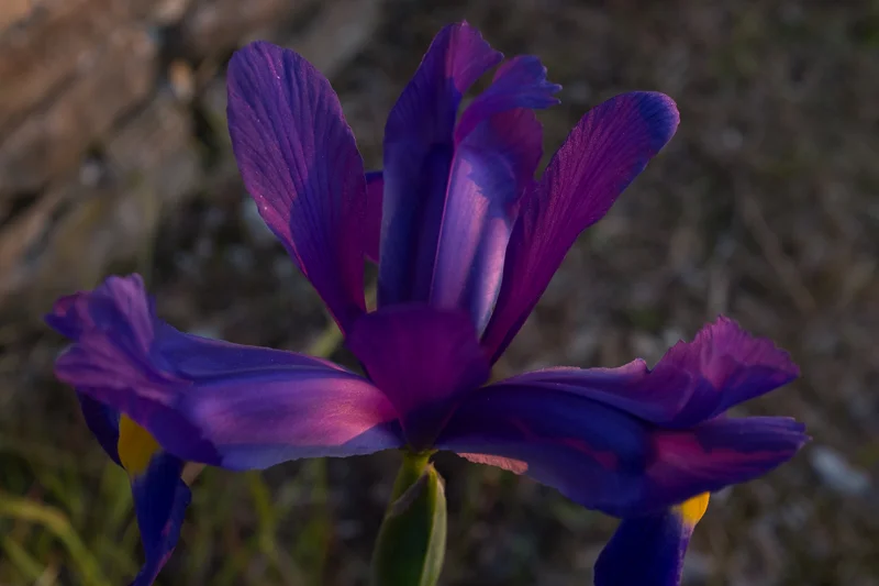 20160507-135516.jpg