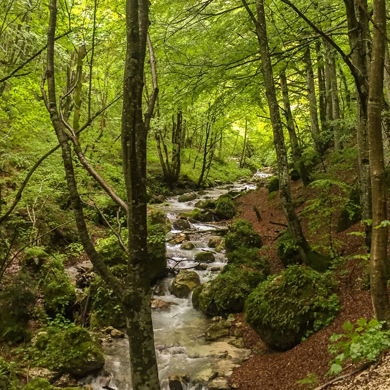 20160512-100205.jpg