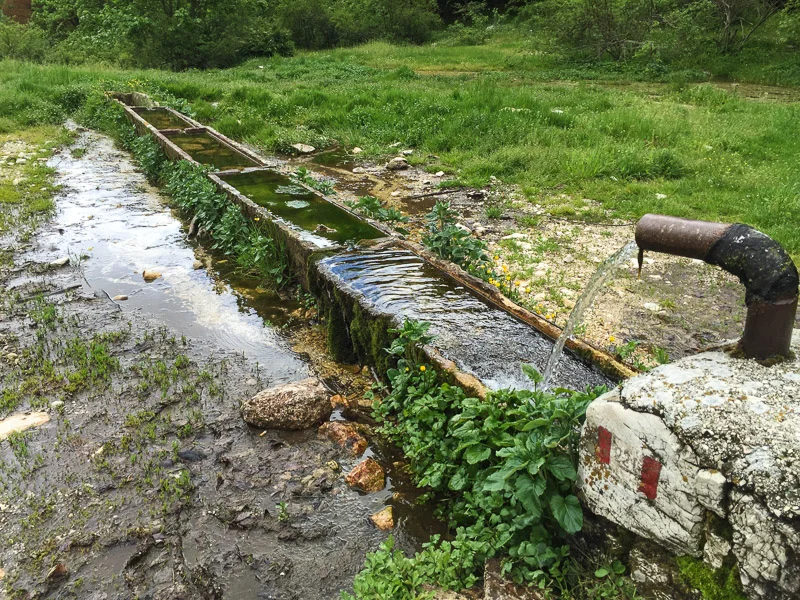 20160512-113647.jpg