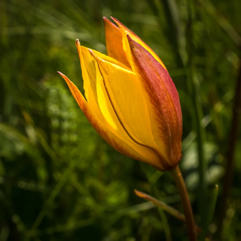 20160525-140243.jpg