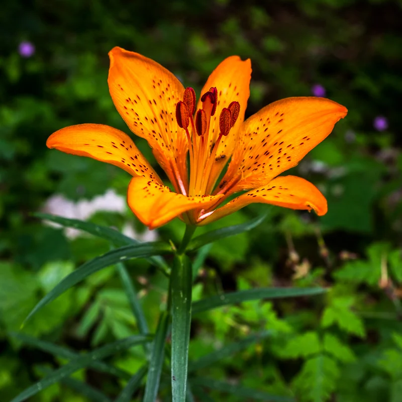 20160704-141548.jpg