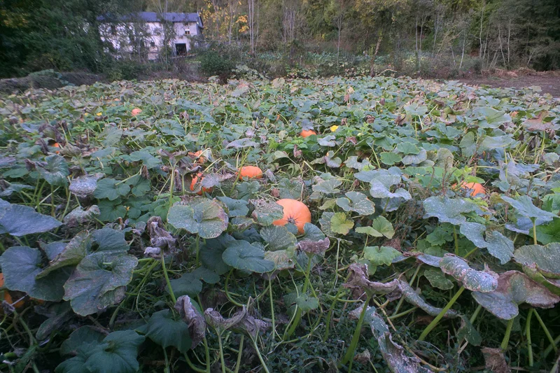 20161019-183923.jpg