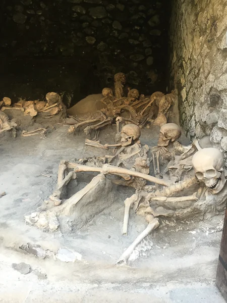 herculaneum_boat_shed_skeletons.jpg