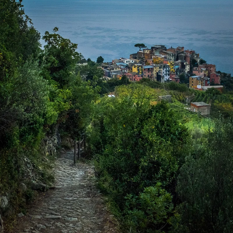 view_from_above_corniglia.jpg