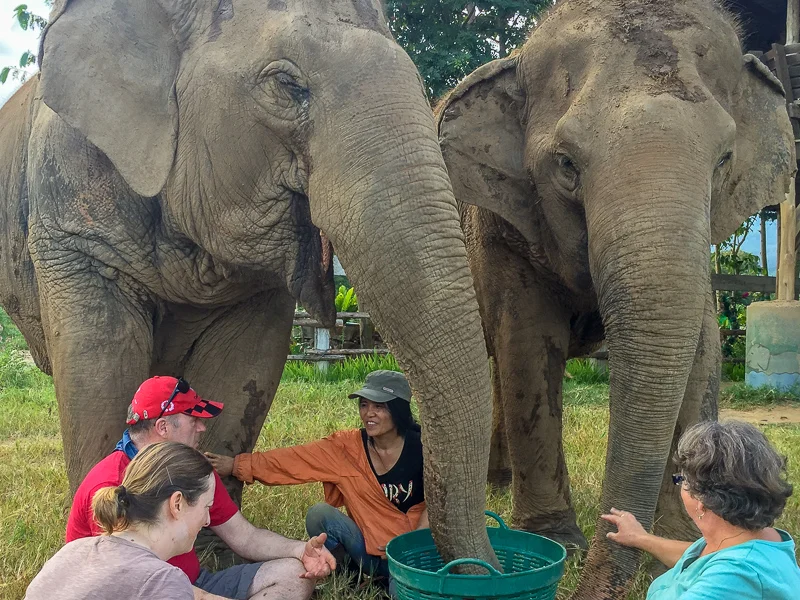 A magical moment with Lek, the founder of Elephant Nature Park