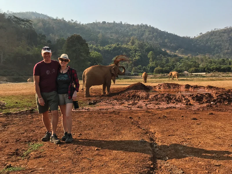 Elephnat Nature Park offers a safe haven for rescued elephants. Many of these have been rescued from illegal logging operations. Volunteering here gets as close as you possibly get to these gentle giants.
