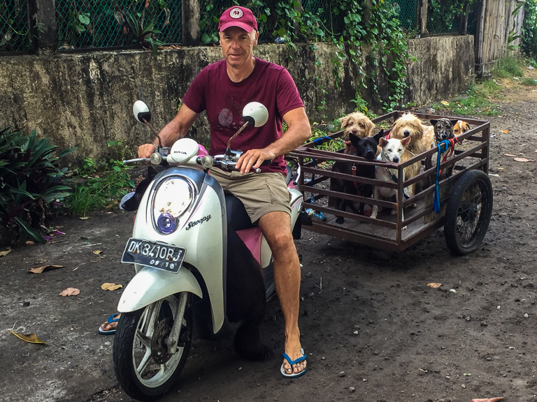 scooter_and_trailer_full_of_dogs.jpg