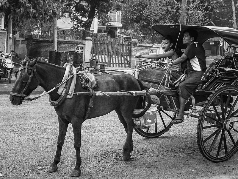 Not your New York City carriage ride.