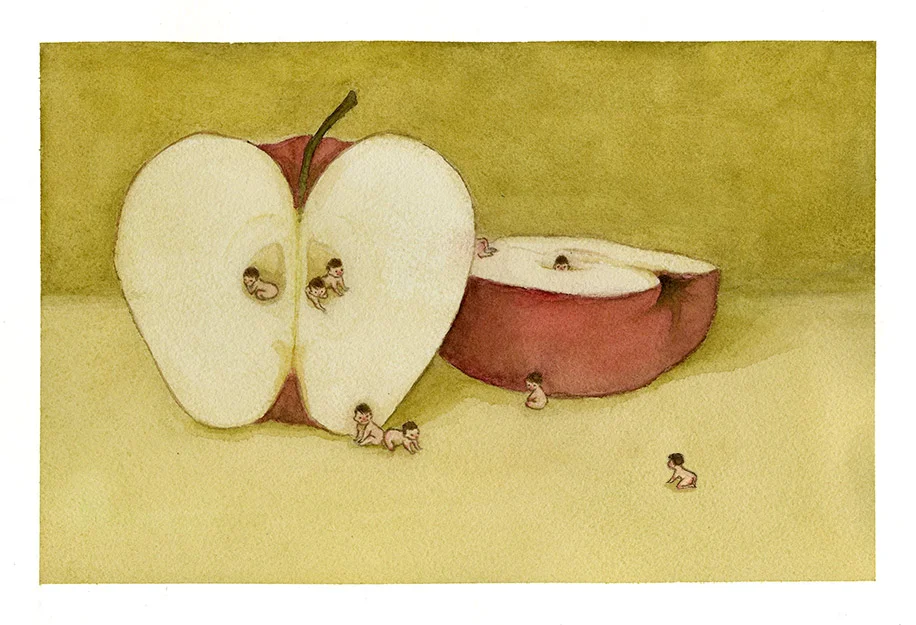 Old Wives' Tales series, Apple Babies, Watercolour The tale: cut an apple in half and the number of seeds inside is how many children you'll have.