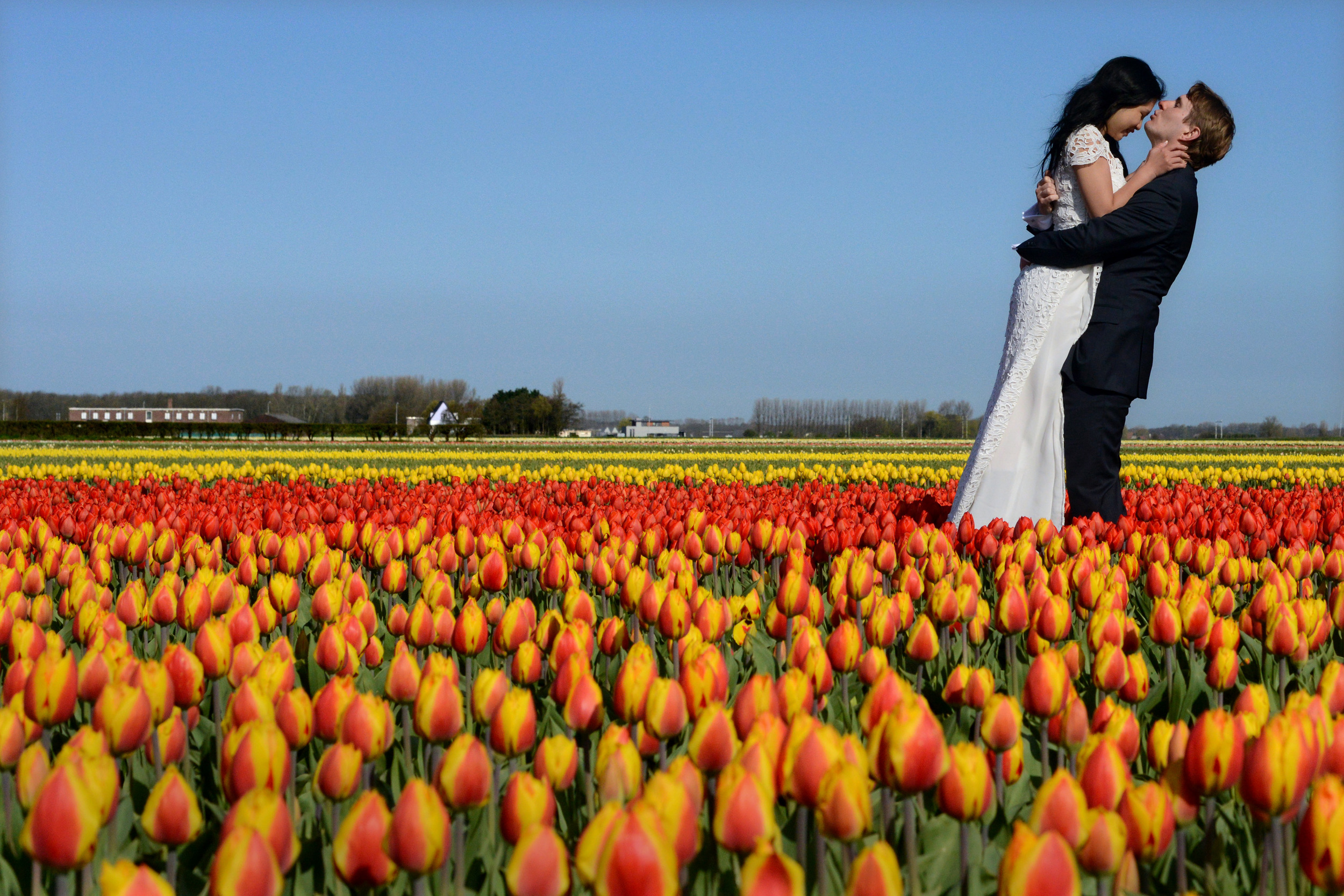 Red, Yellow and Blue | Rood, Geel en Blauw