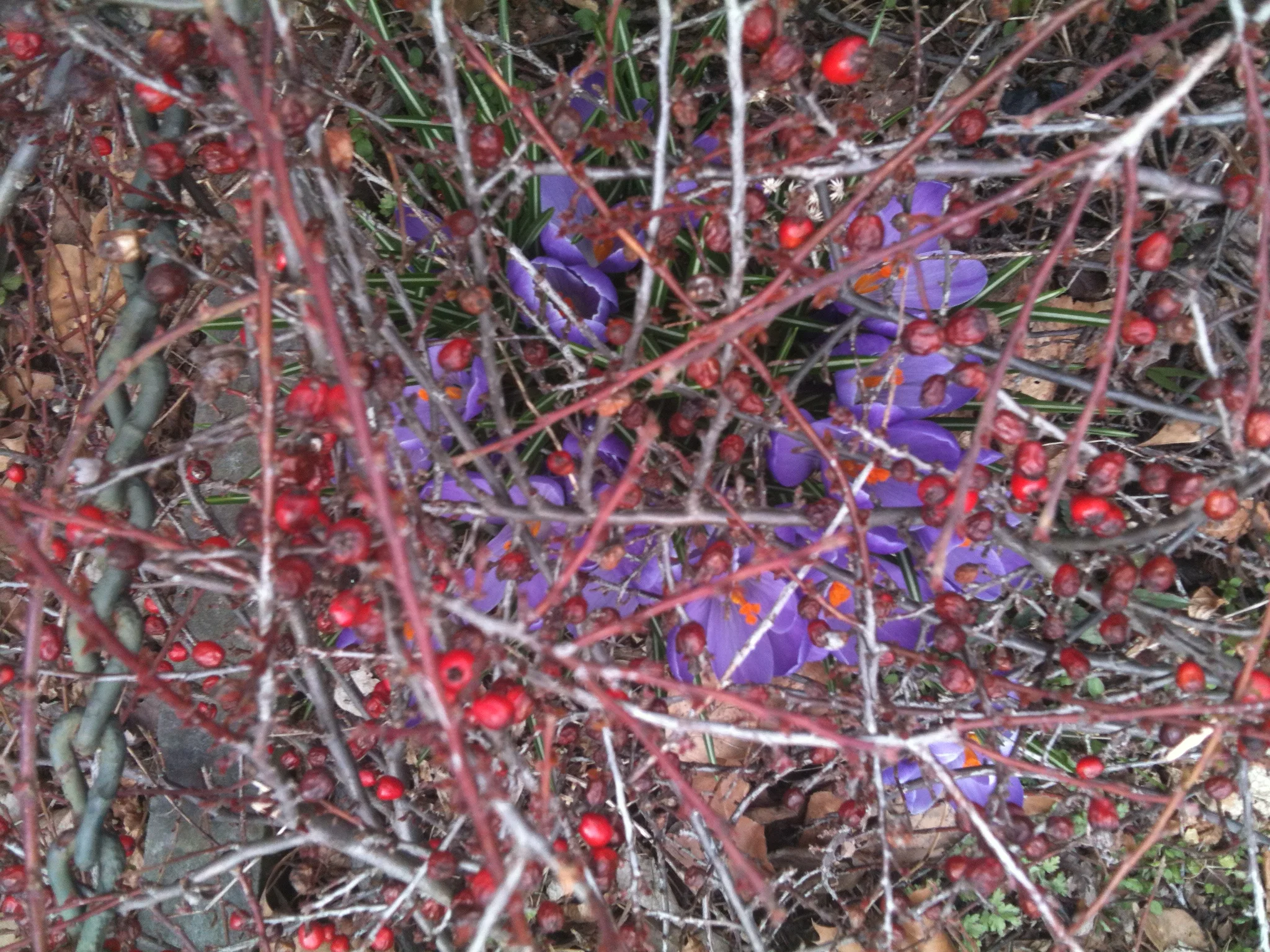 2013-03-29 15.34.28.jpg
