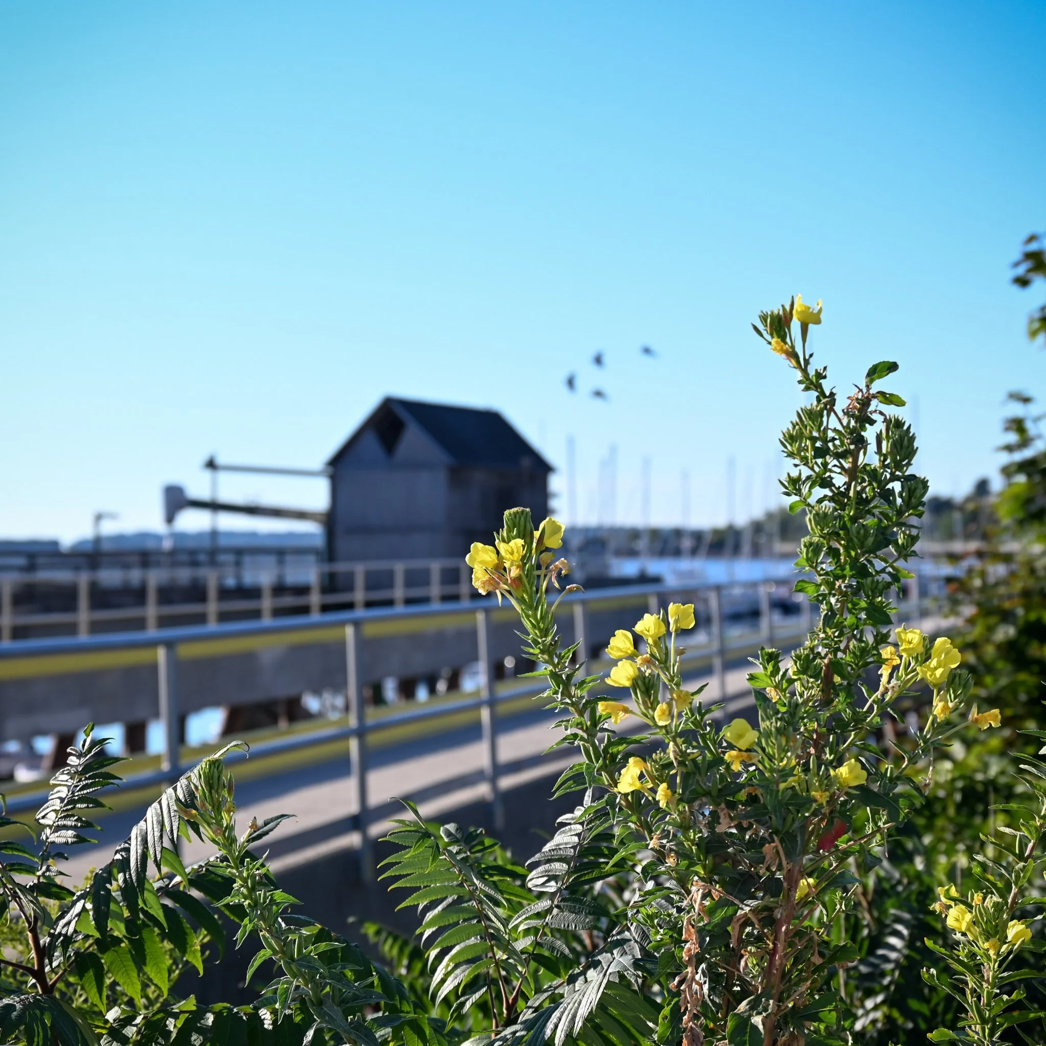 DSC_6023.jpg