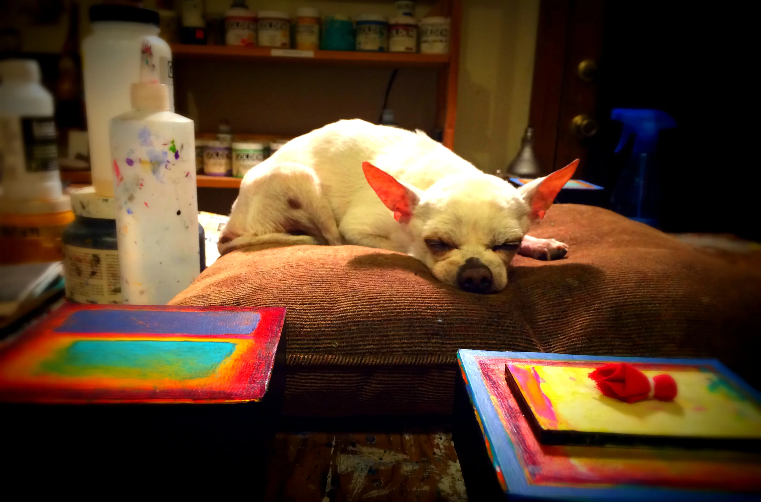 Sunshine, roasted chicken, flannel sheets, buffalo ribs, his personal pillow, soft blankets, singing softly, and the goats, were Spirits favorite things in his life. At five pounds, he would herd the goats. They were afraid of him. He was the boss of everything. Spirit held court in the studio for eighteen years from his pillow on the worktable. He approved and disapproved of the studio visitors without hesitation. You never ate around Spirit unless you shared. He would give you the stink eye that you never really recovered from. Spirit arrived at the end of his earth walk today. Even though the studio is full of new paintings, the studio has never been as empty as it is tonight. I love you little Spirit Buffalo.