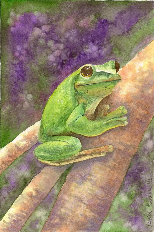 LK Tree Frog Borderless Painting.jpg
