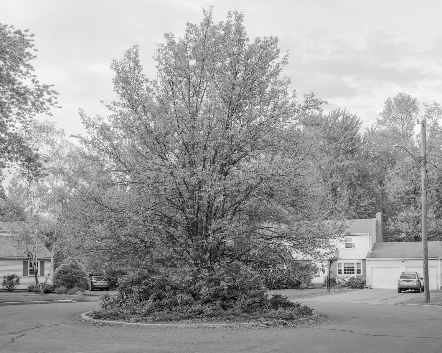 B0004312_BW.jpg