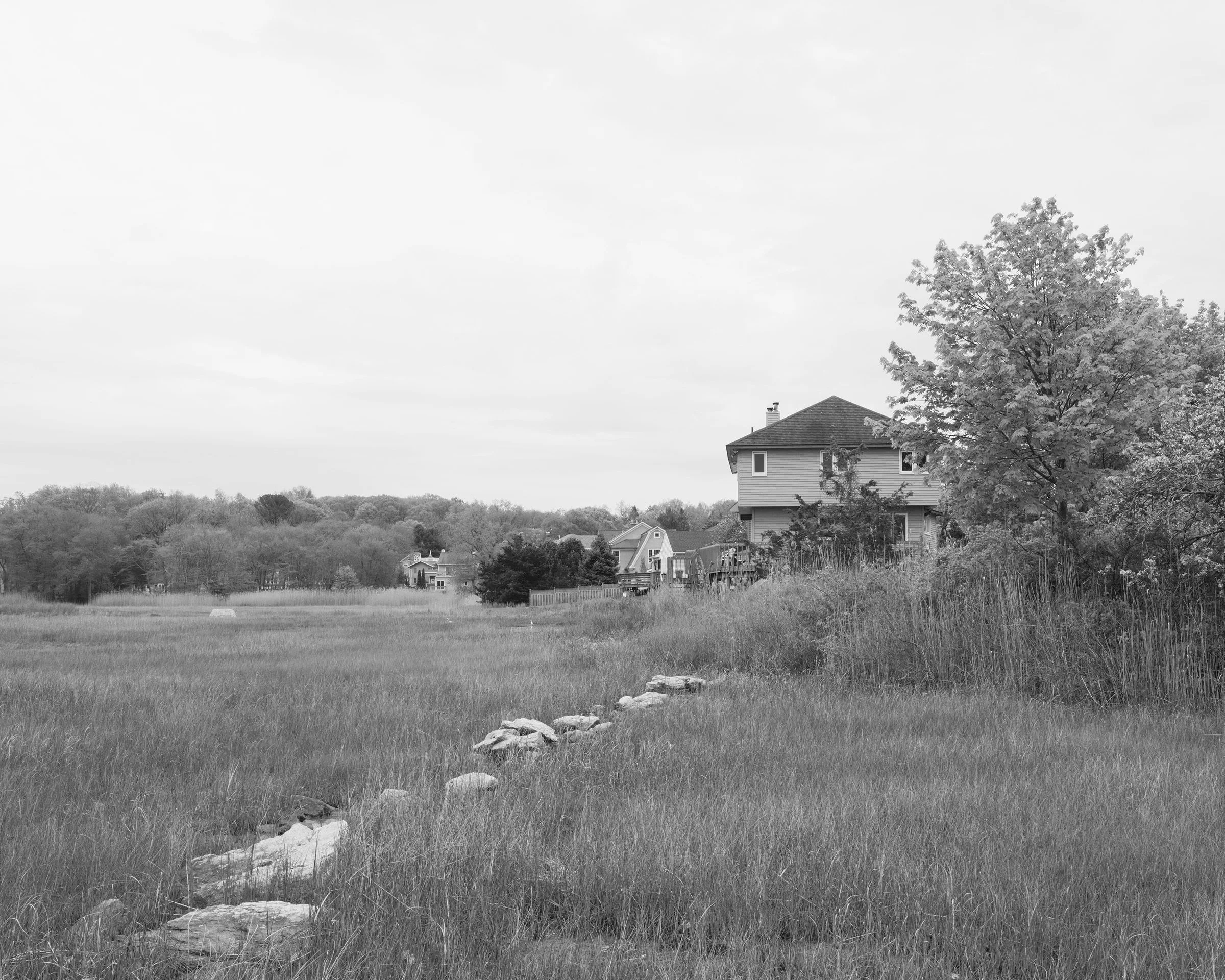 B7196595_BW.jpg