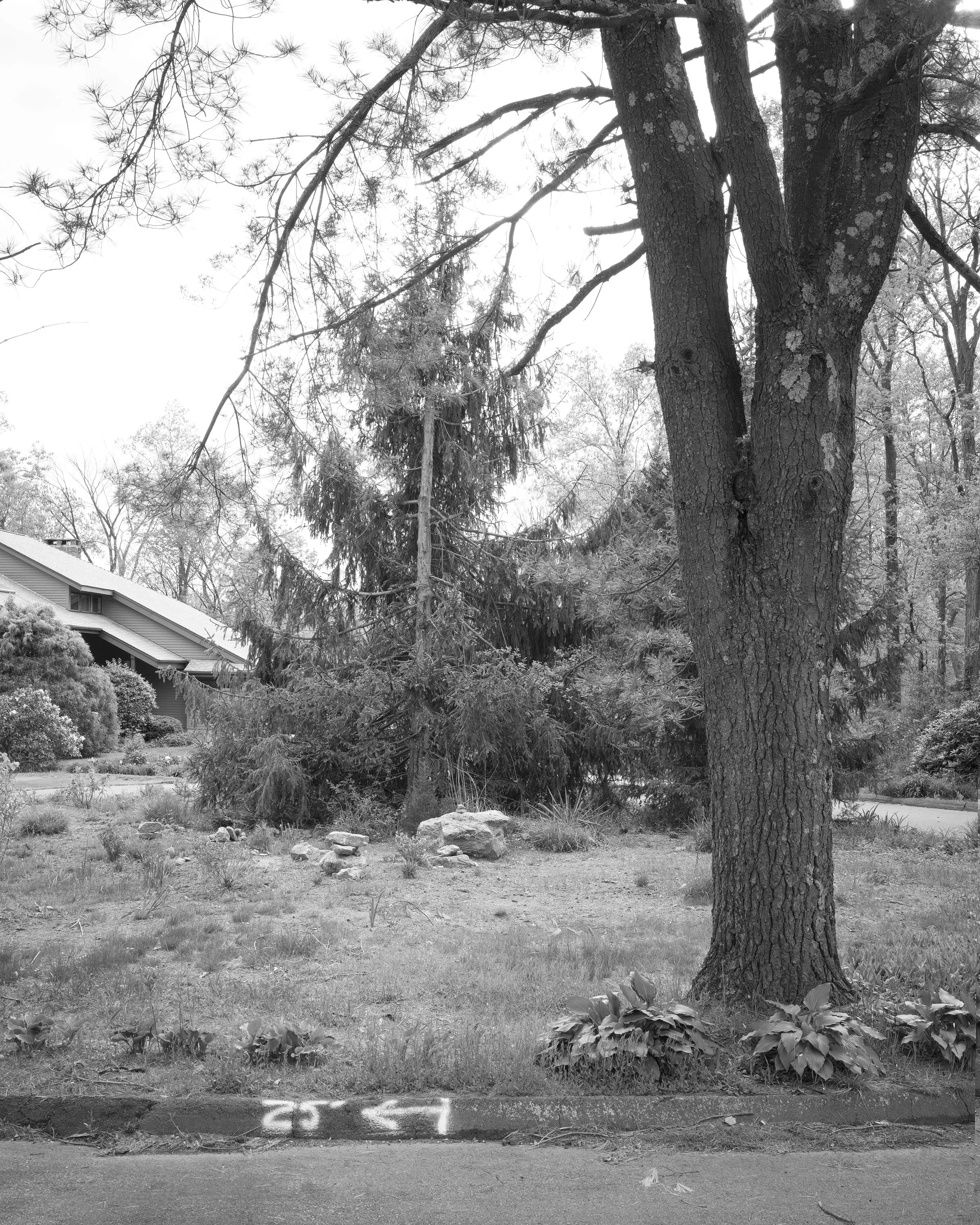 B7196577_BW.jpg