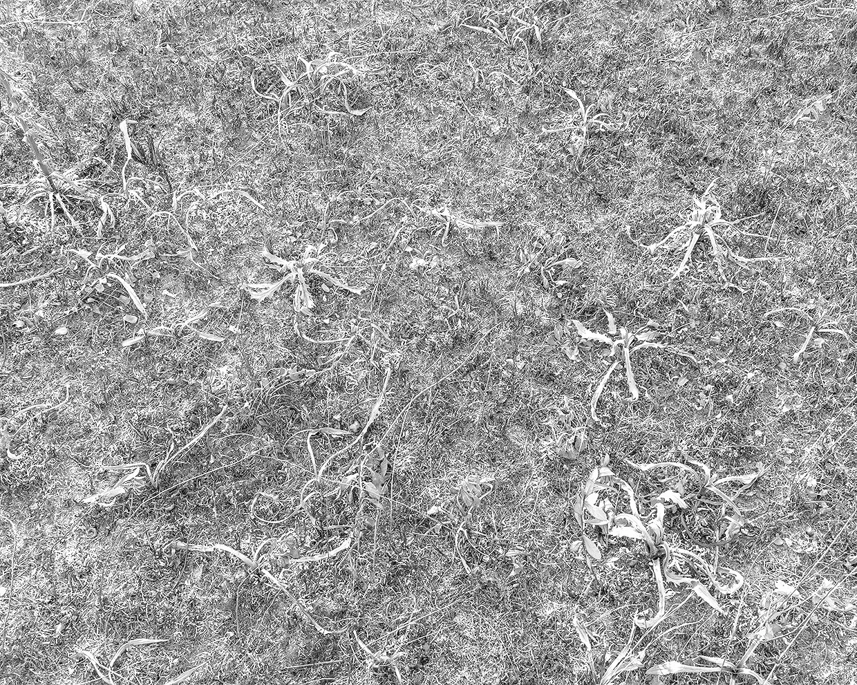 Ever_Burnt+Ground_1_WEB.jpg