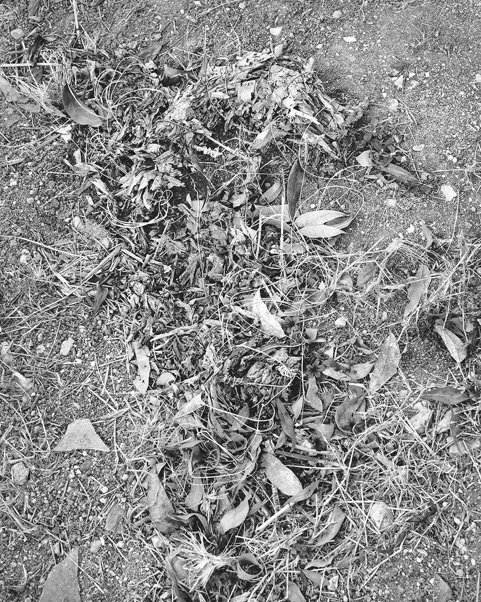 _JAK9095_BW_WEB.jpg