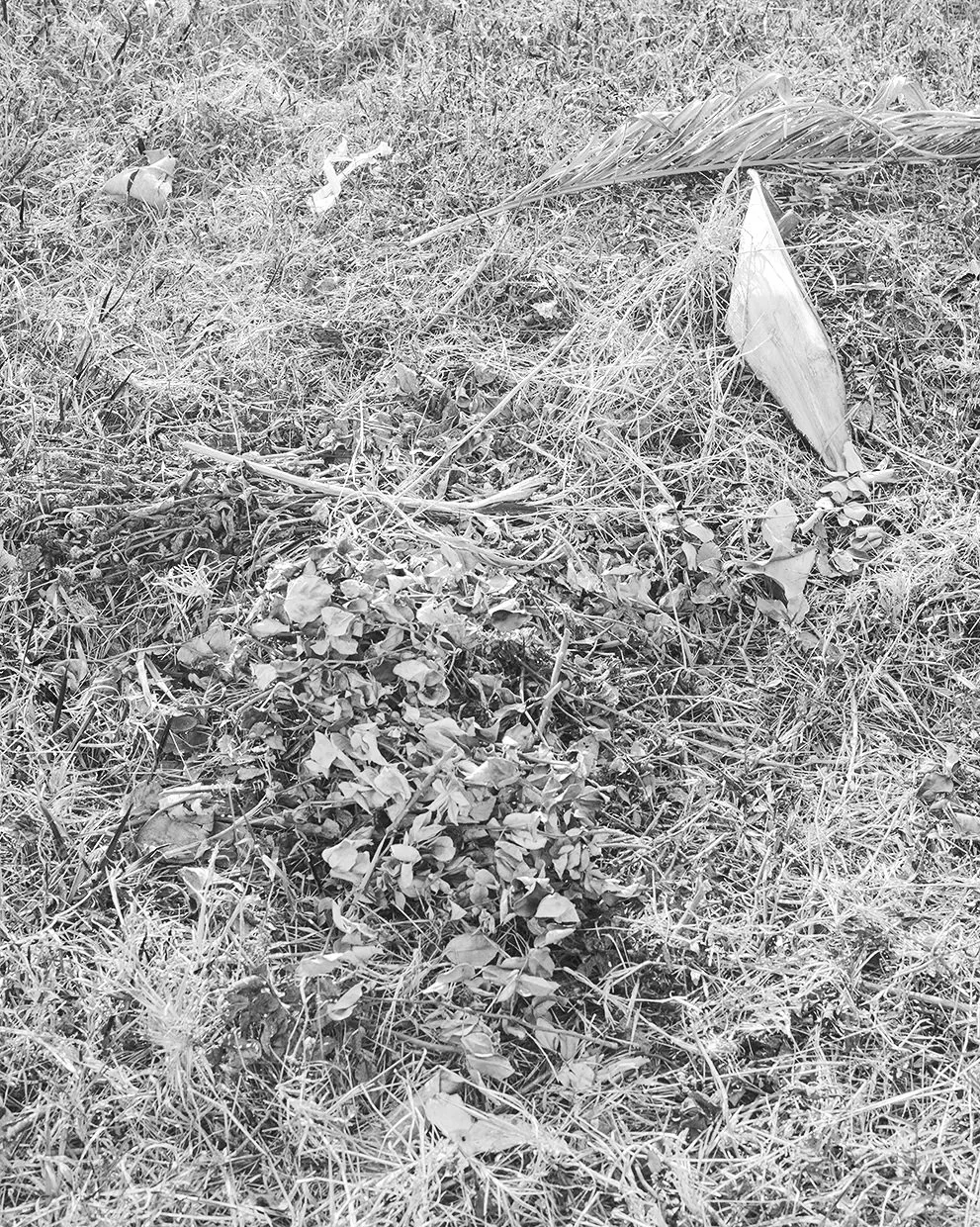 _JAK9063_BW_WEB.jpg