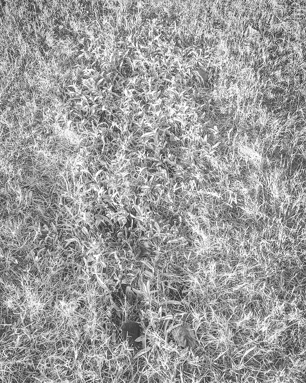 _JAK9143_BW_WEB.jpg