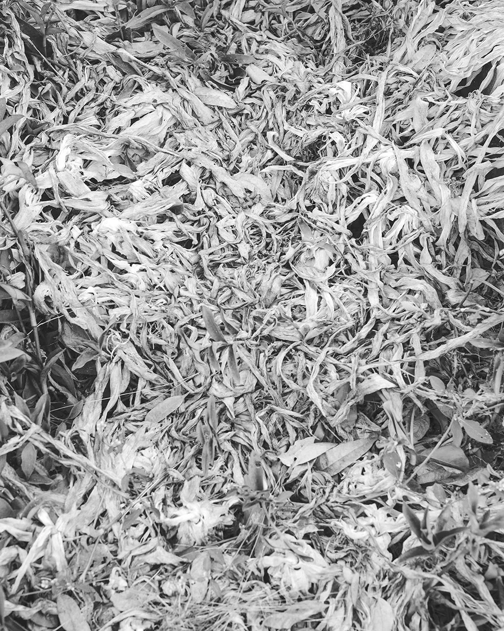 _JAK9102_BW_WEB.jpg