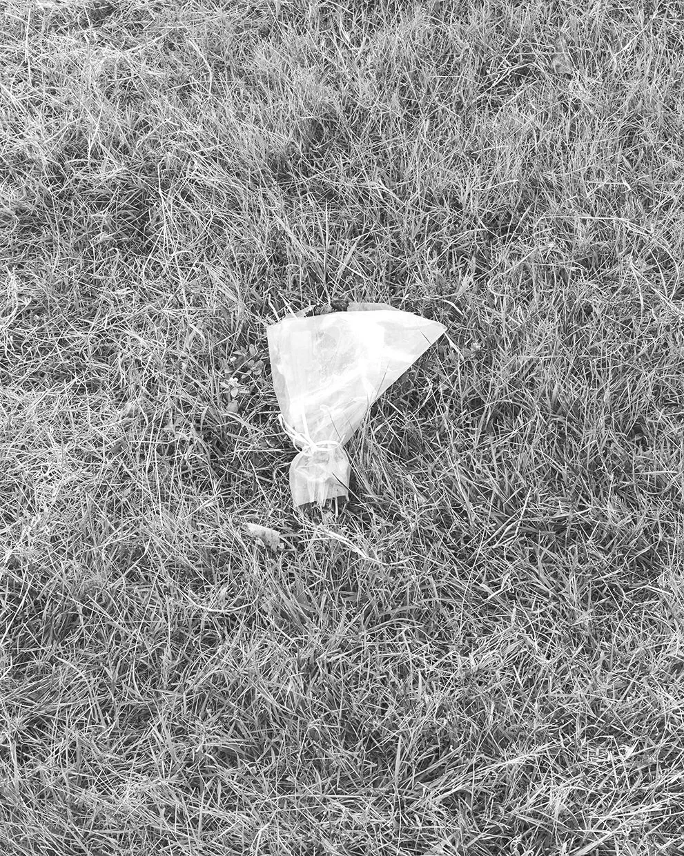 _JAK9364_BW_WEB.jpg