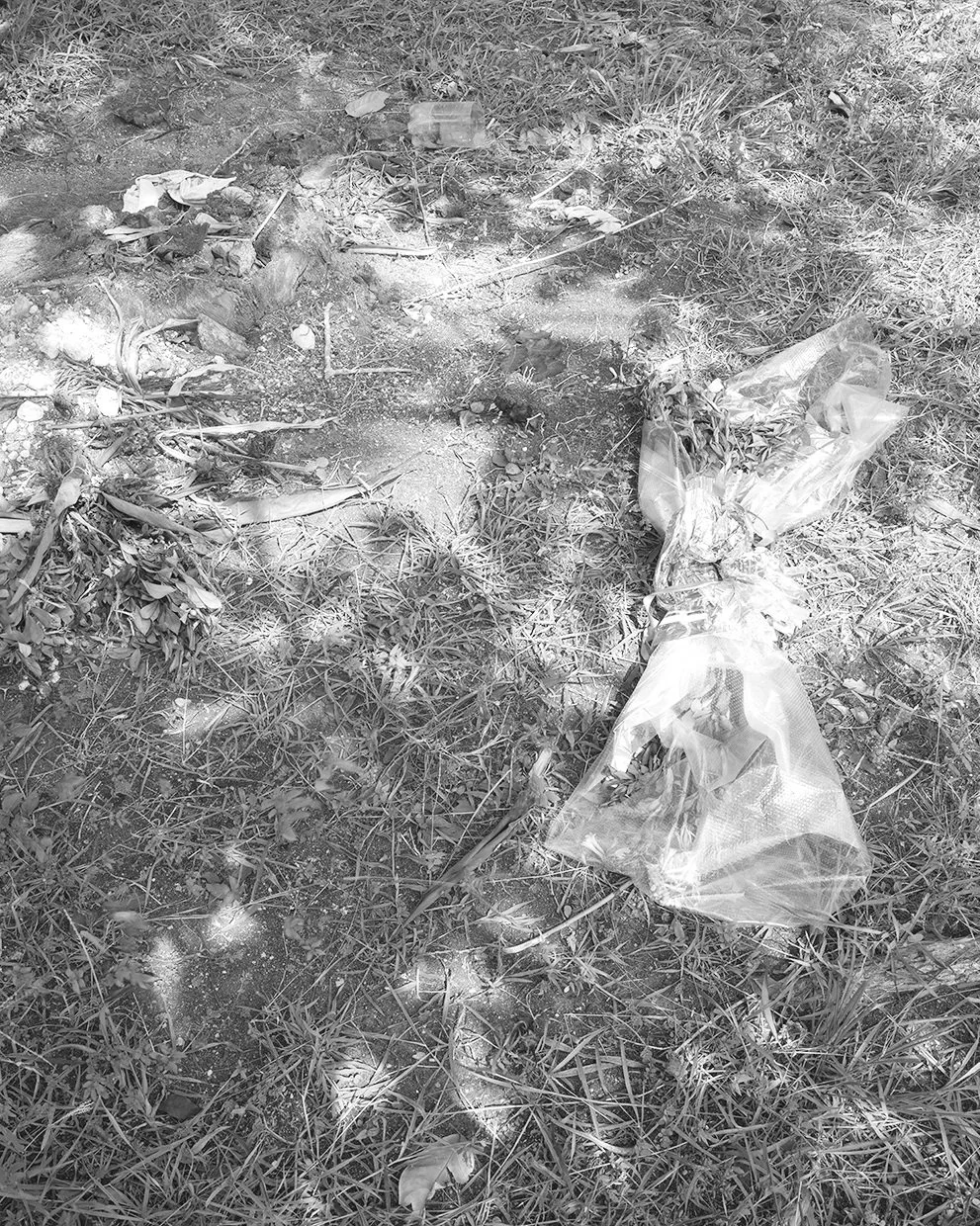 B0000510_BW.jpg