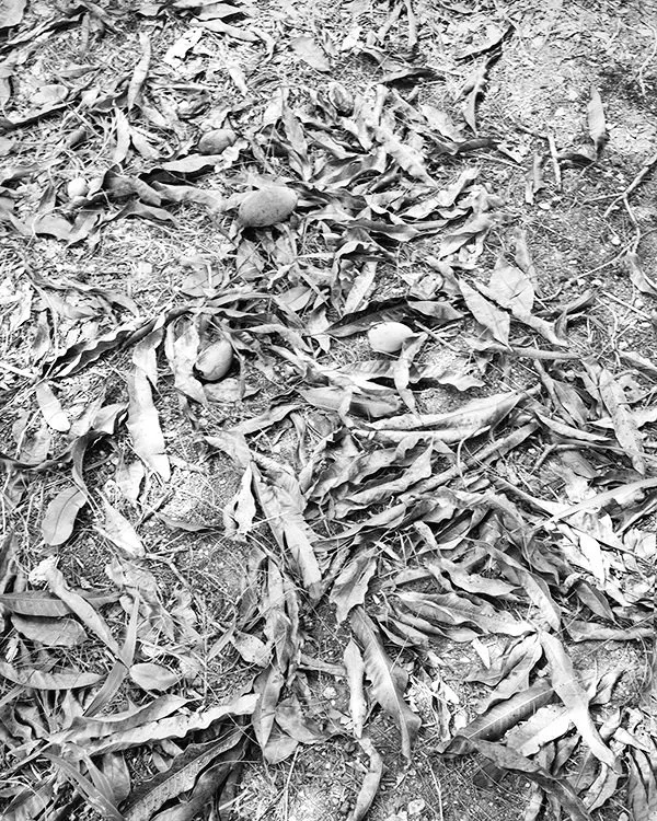 B0000509_BW_1.jpg