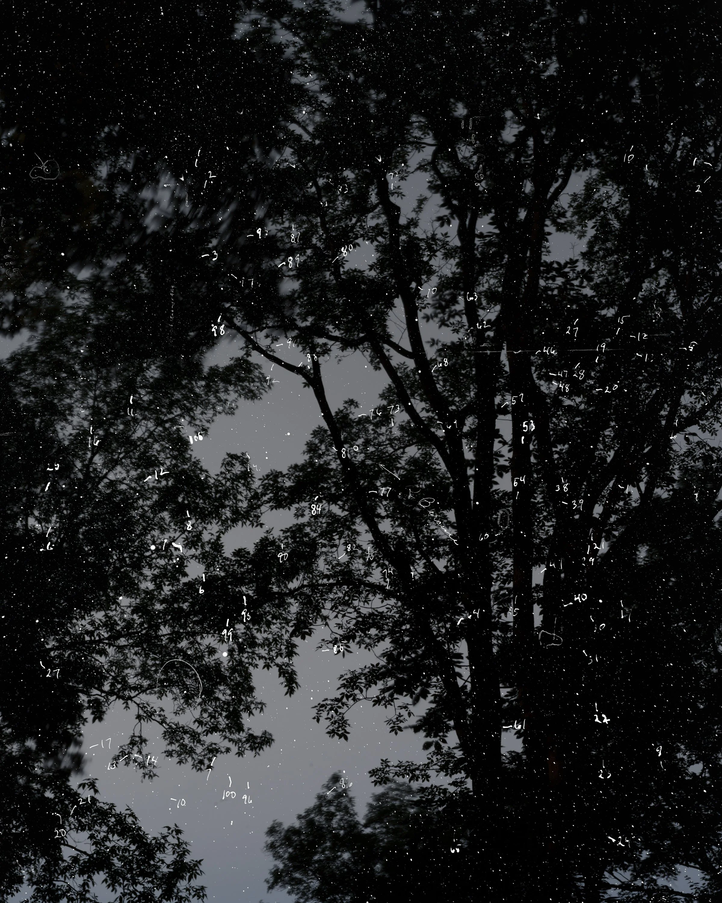 Night Studio: Obscure Traces (for Evelyn Leland); 06/02/1902 + 06/02/2025
Pigment print on rice paper 36" x 45"