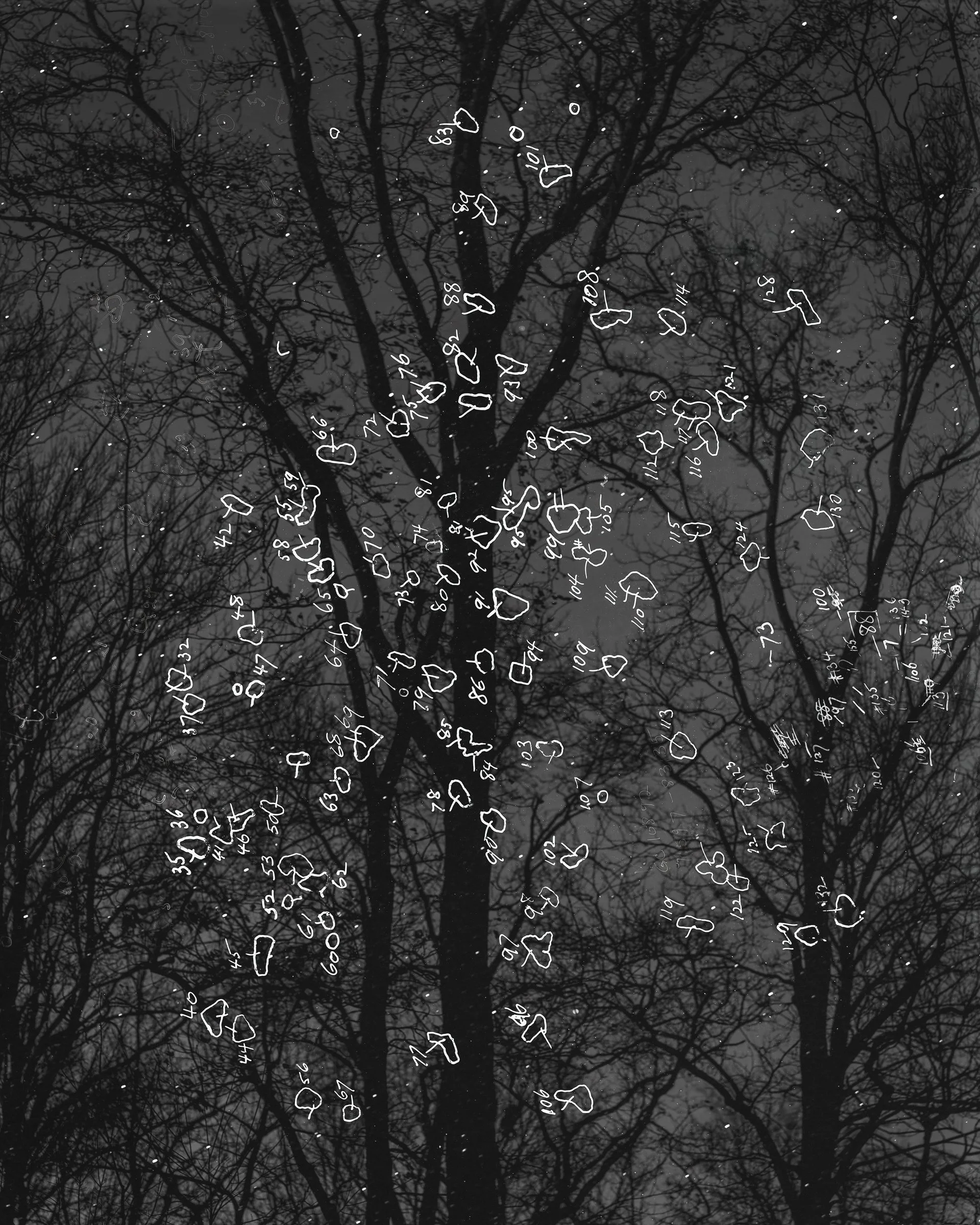 Night Studio: Obscure Traces; 11/29/1900 + 11/29/2025.  
Pigment print on rice paper 36" x 45"