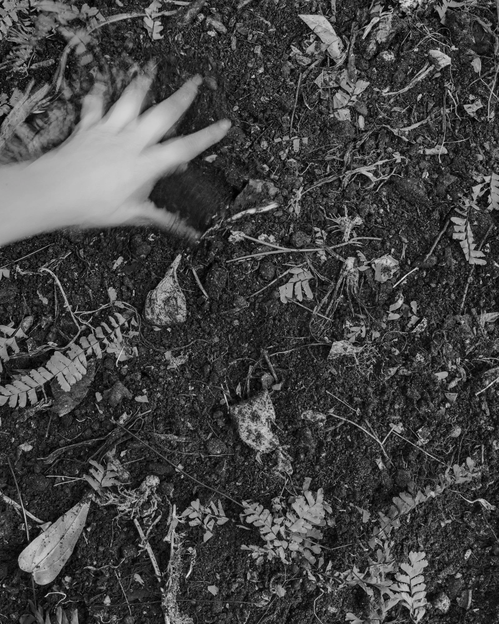 B0000305_BW_1.jpg