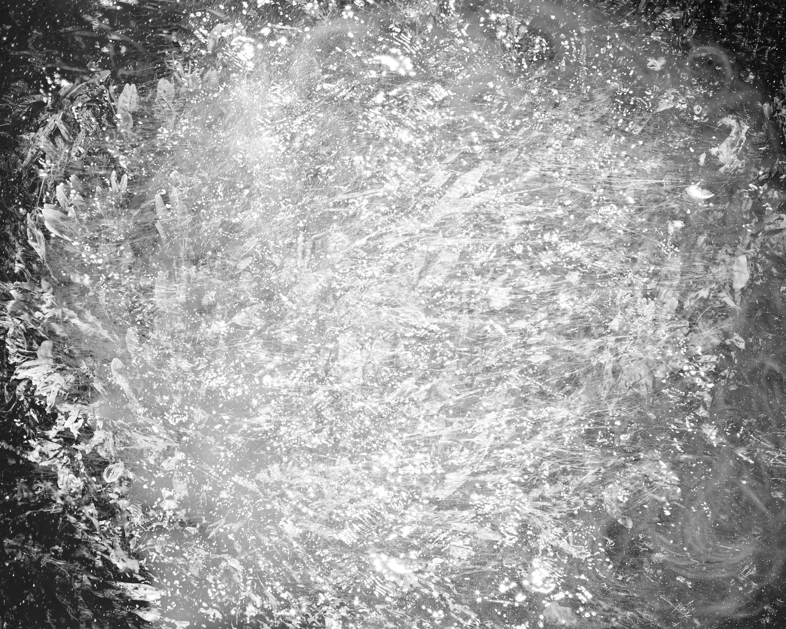 Self Portrait as Luminescent Seaweed