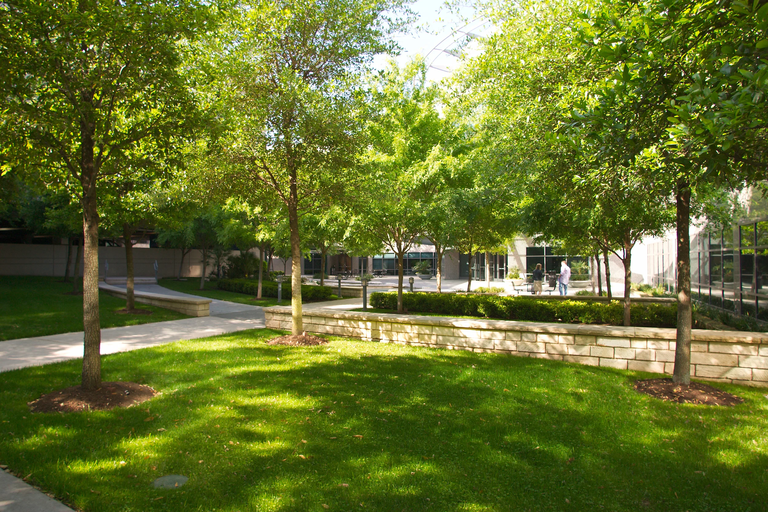 CRW_9310.jpg