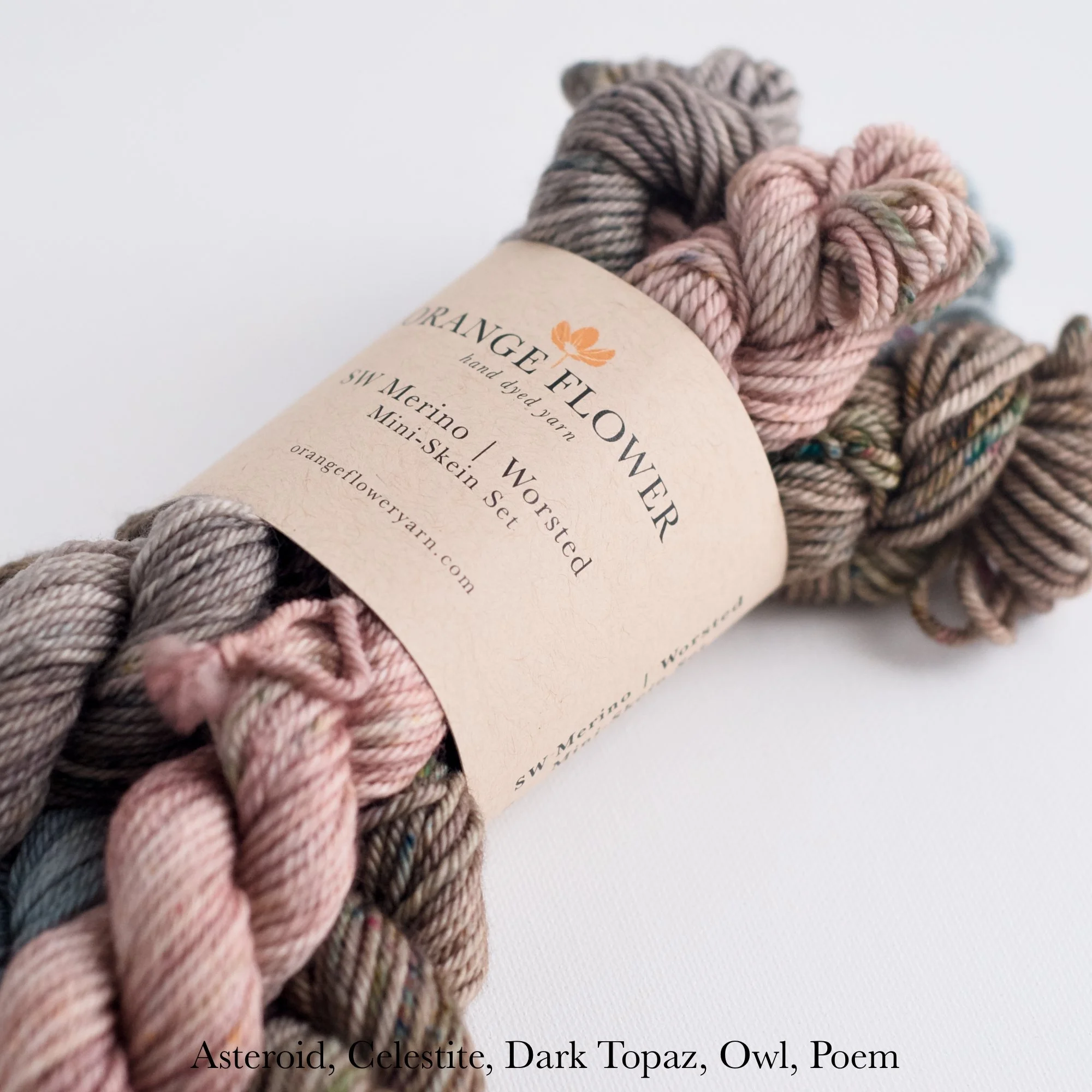 SWWW Mini Skein Set - 2B.jpg