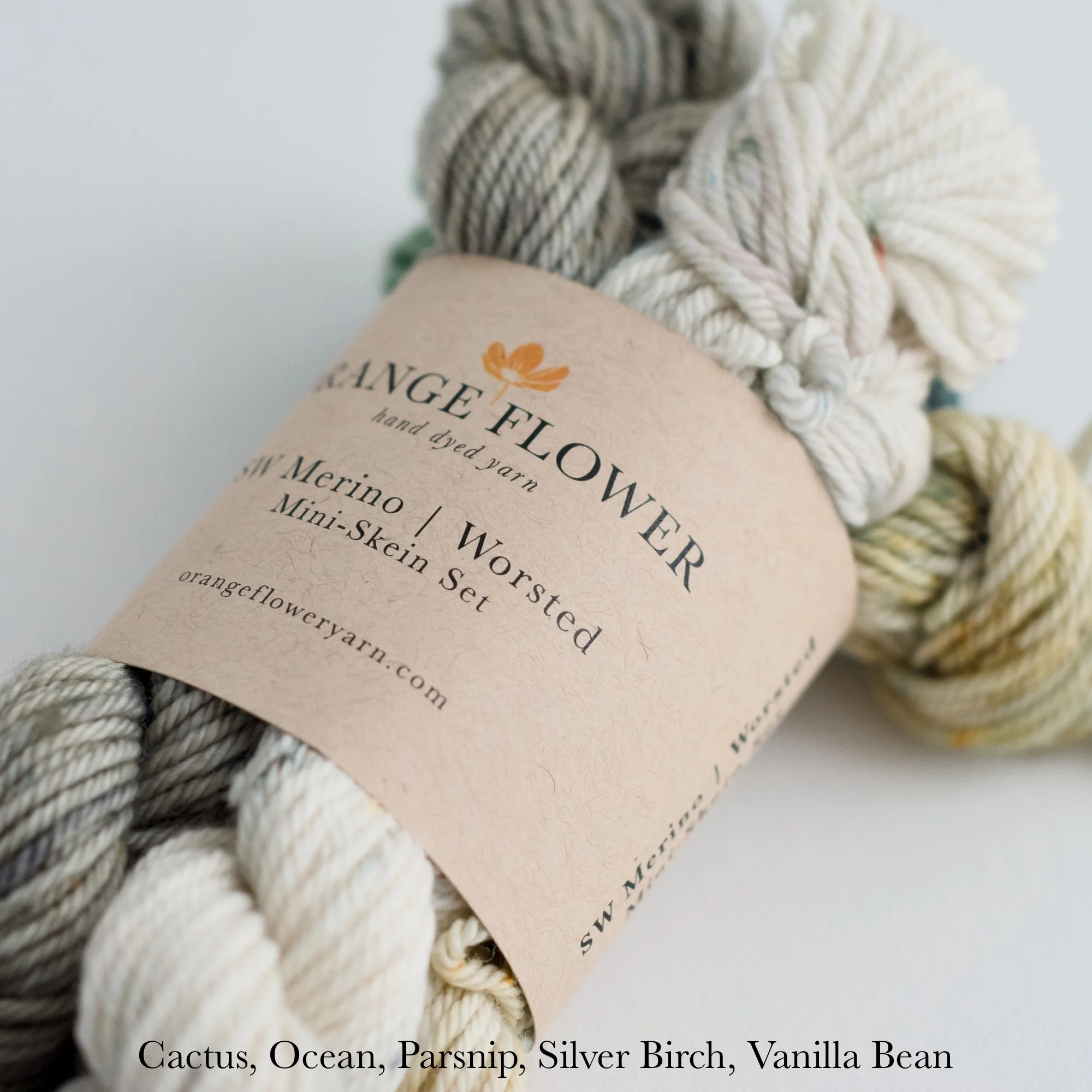 SWWW Mini Skein Set - 3C.jpg