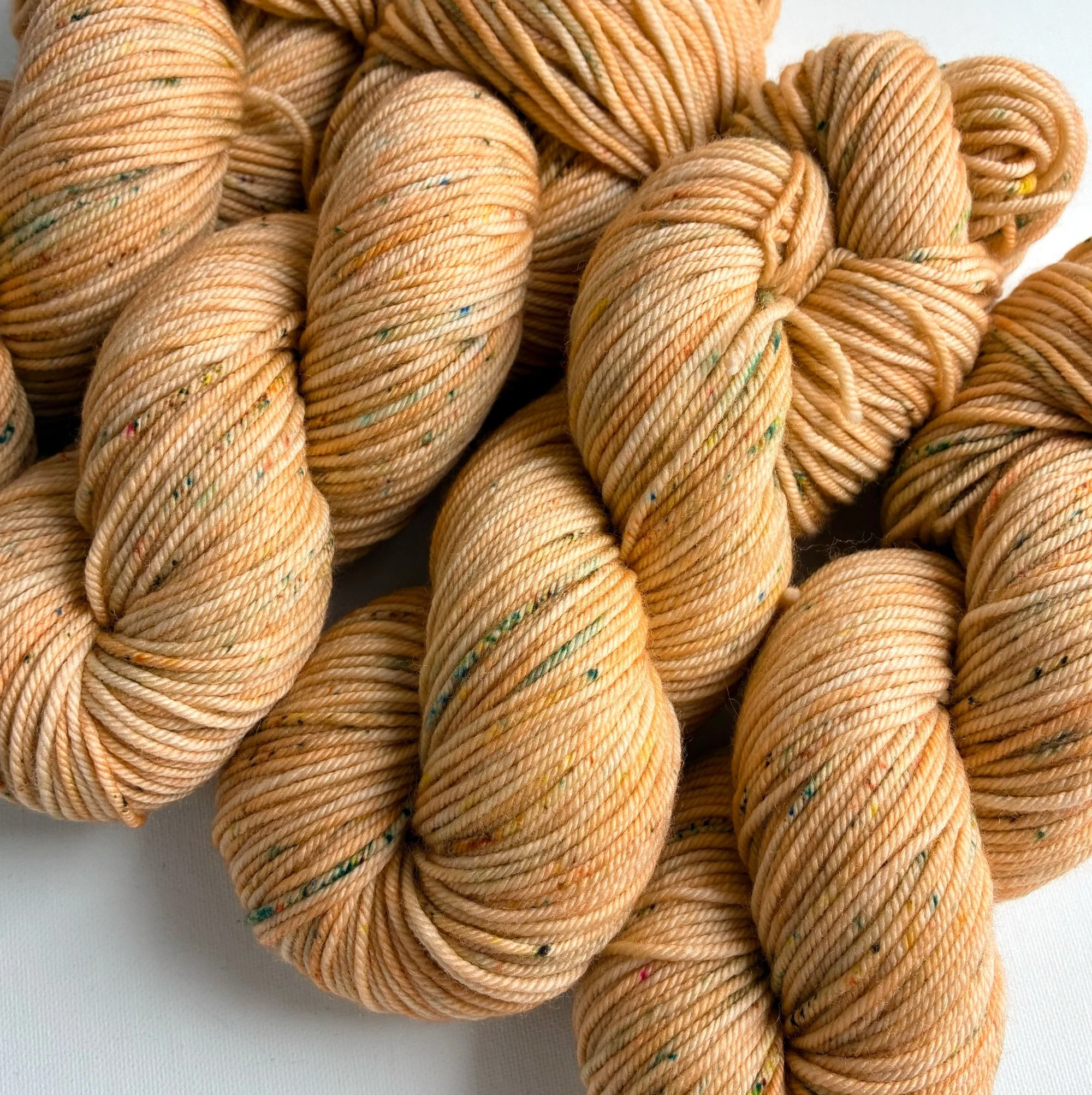 Zinnia | Tangerine