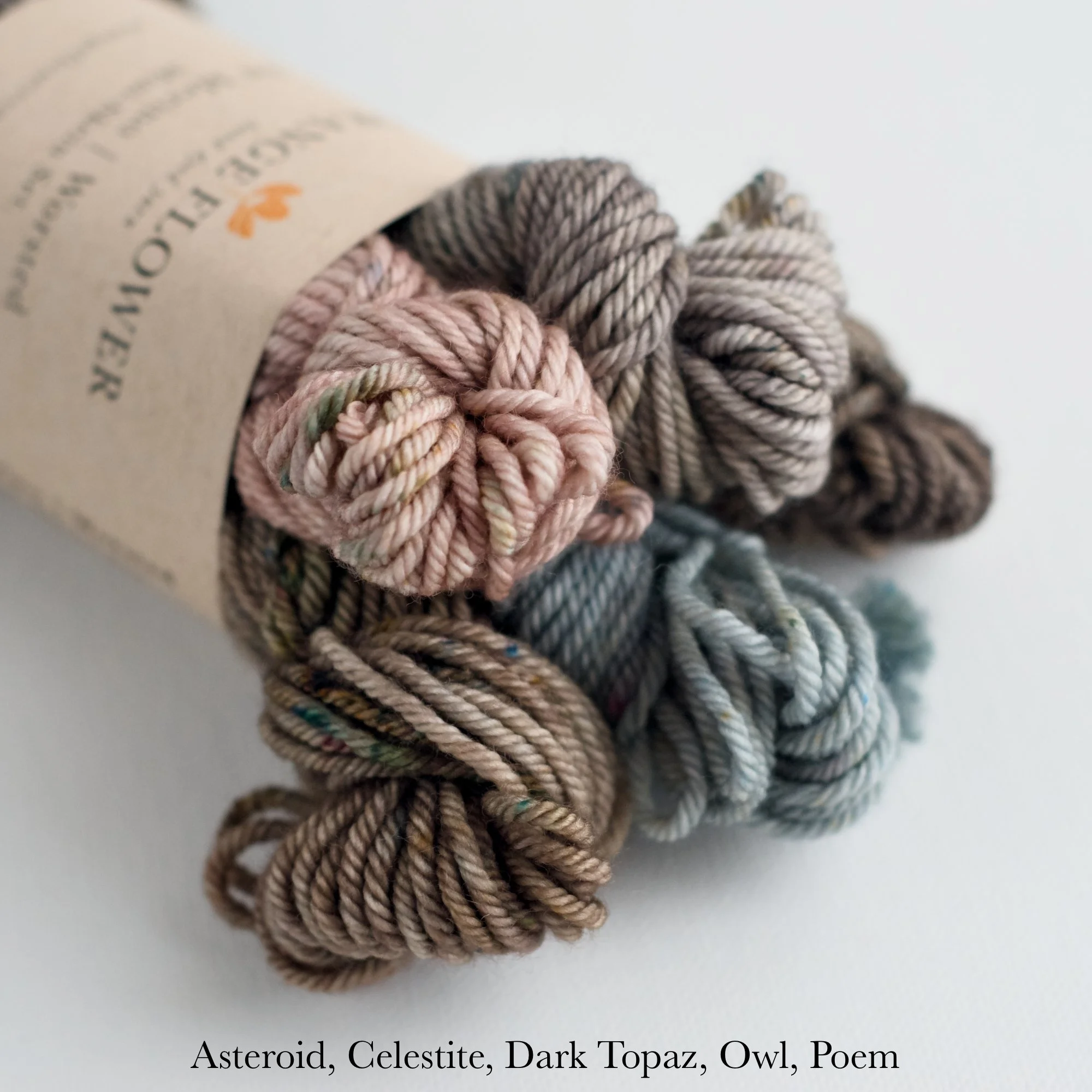 SWWW Mini Skein Set - 2C.jpg