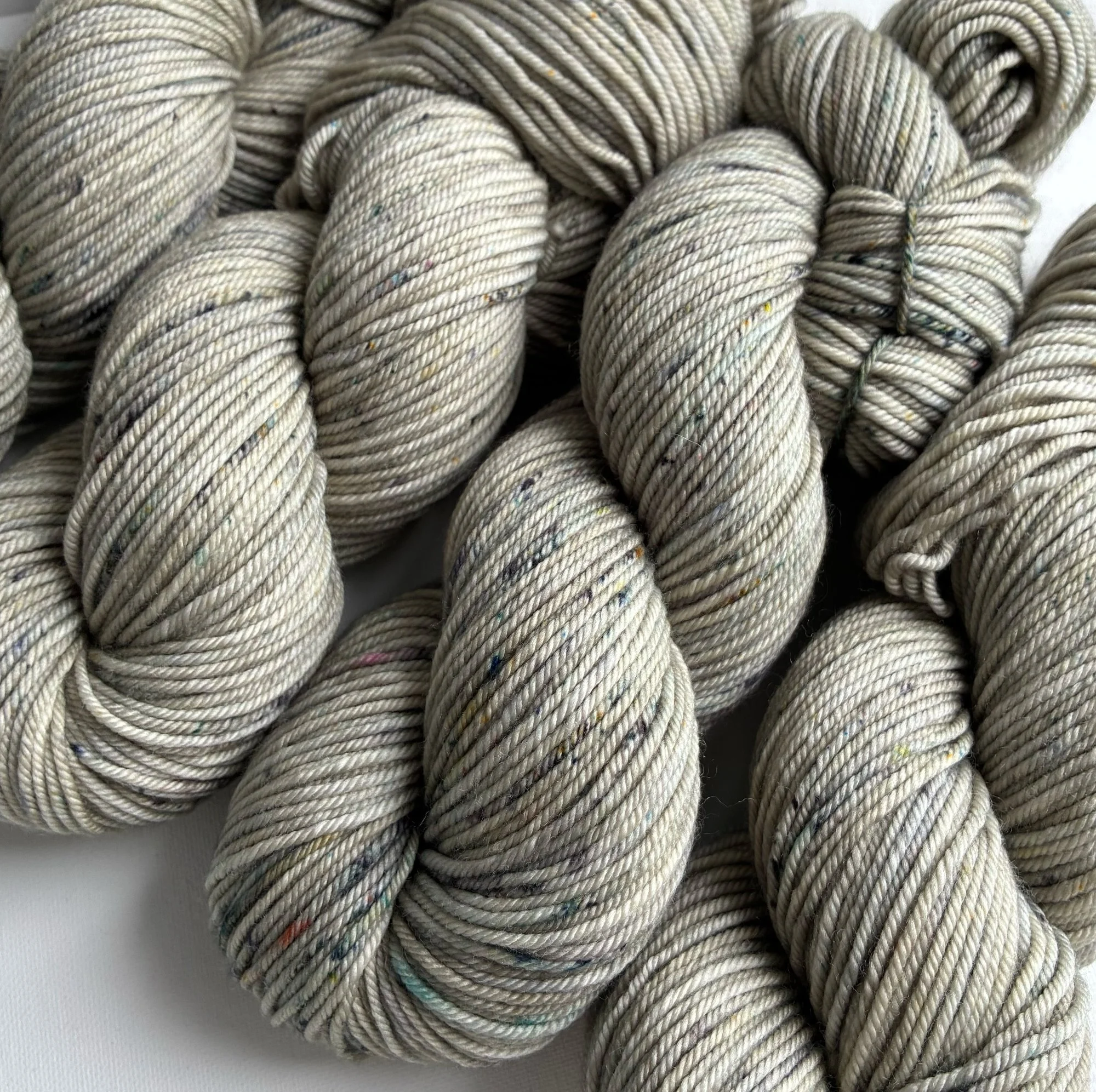 Zinnia | Silver Birch