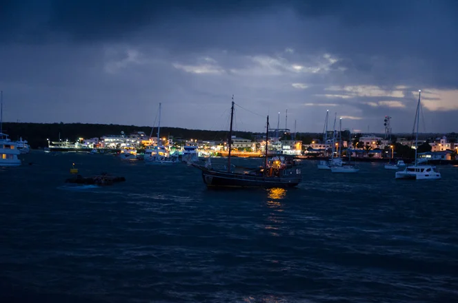 Harbor