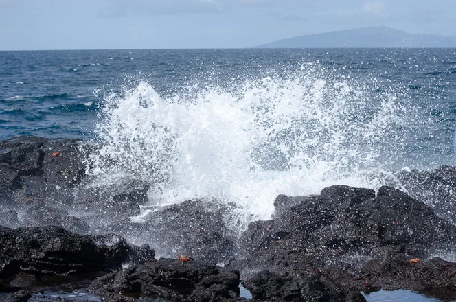 Crashing Waves