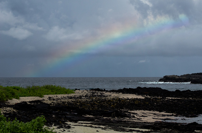 Rainbow!