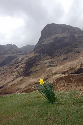 20_hghlnds_glencoe2_rt.jpg