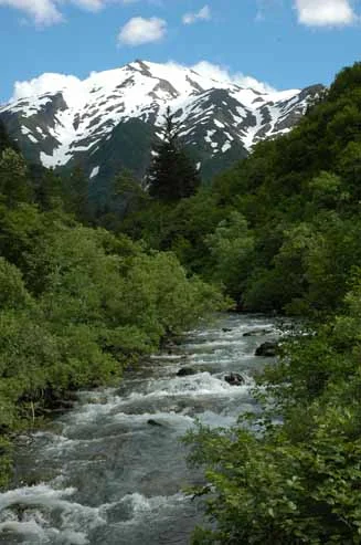 74-PerserverenceTrail_v2.jpg