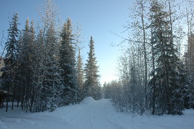 51-DSC_2028.jpg